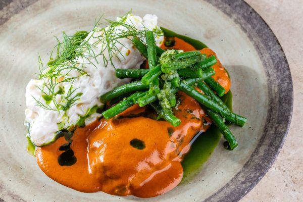 Palóc marha Zazie módra